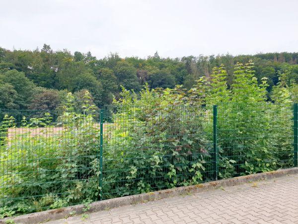 Grundstück in Morungen günstig zu verkaufen Kreisfreie Stadt Darmstadt