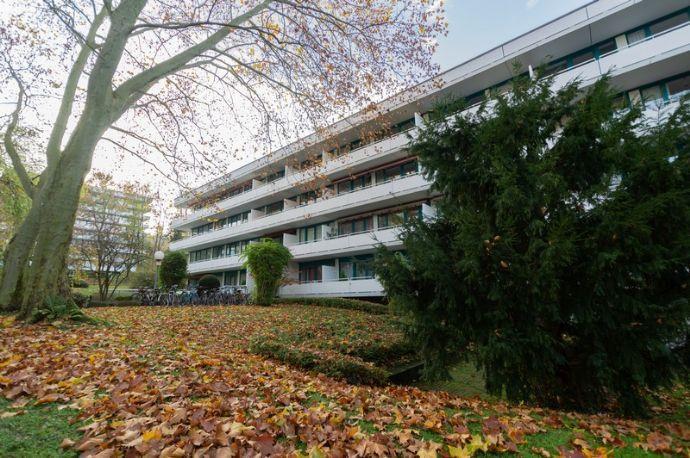 Helles und freundliches Apartment in beliebter Höhenlage von Bonn-Bad Godesberg! Bonn