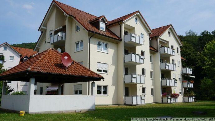 Kapitalanlage! 1 Zimmer Wohnung mit TG Stellplatz in ruhiger Lage von Bad Gottleuba Bad Gottleuba-Berggießhübel