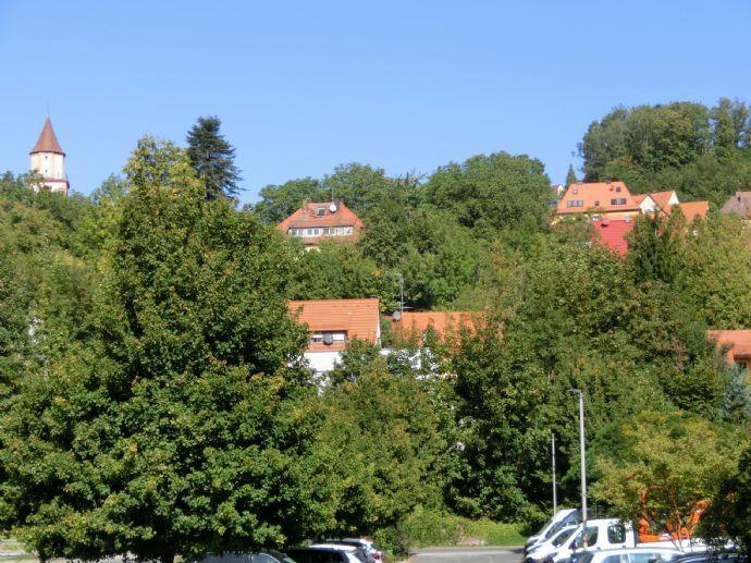 Neubau - Reichlich Platz für die Familie - Großes RMH in ruhiger Lage von Gräfenberg! Straßgräbchen