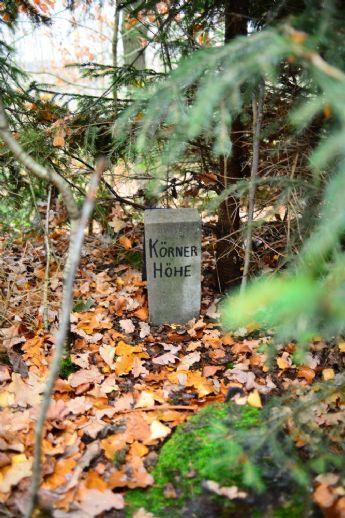 Idyllisches Grünland mit angrenzendem Waldstück Kreisfreie Stadt Chemnitz