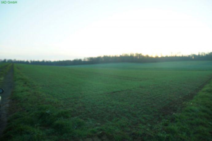 Ertragreiches Ackerland in Toplage Gemünden (Felda)