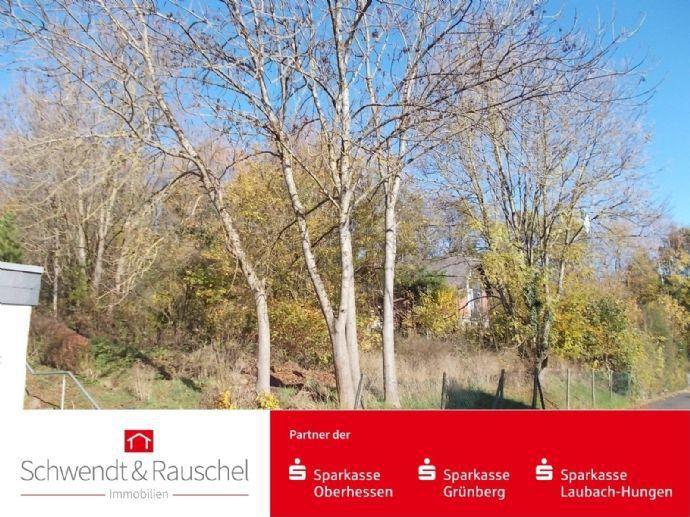 Randlage + optimale Grundstücksgröße - Baugrundstück in Schotten Kreisfreie Stadt Darmstadt