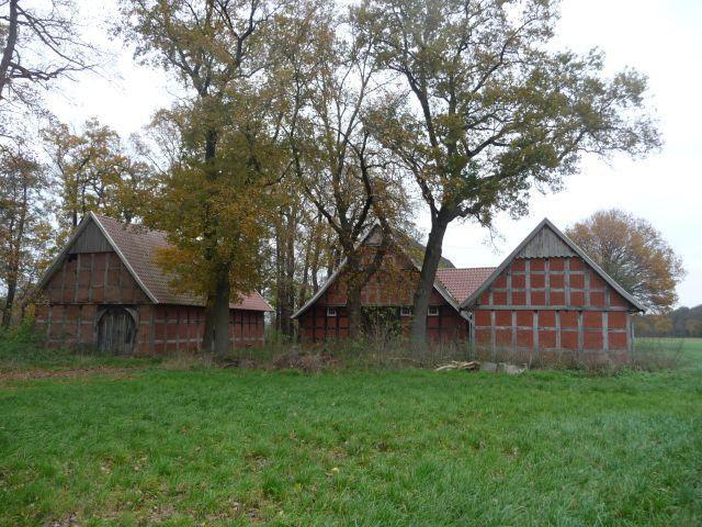 Bauernhaus mit Anbau u. Scheune im Außenbereich Badbergen-Dinklage Kreisfreie Stadt Darmstadt