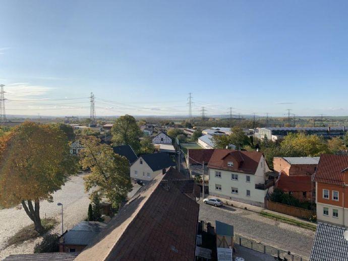 Provisionfrei! - Sanierungsobjekt in grüner Lage Erfurt