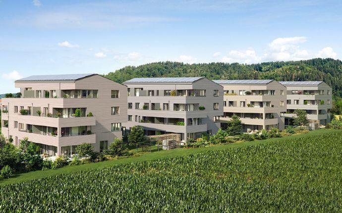 Die sonnige Gartenterrasse genießen Freiburg im Breisgau