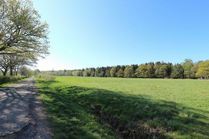 Ideal für Landwirte und Pferdehalter: Ca. 2,3 ha Wiesengrundstück in Roetgen, beste Lage Schwerzfeld Kreisfreie Stadt Darmstadt