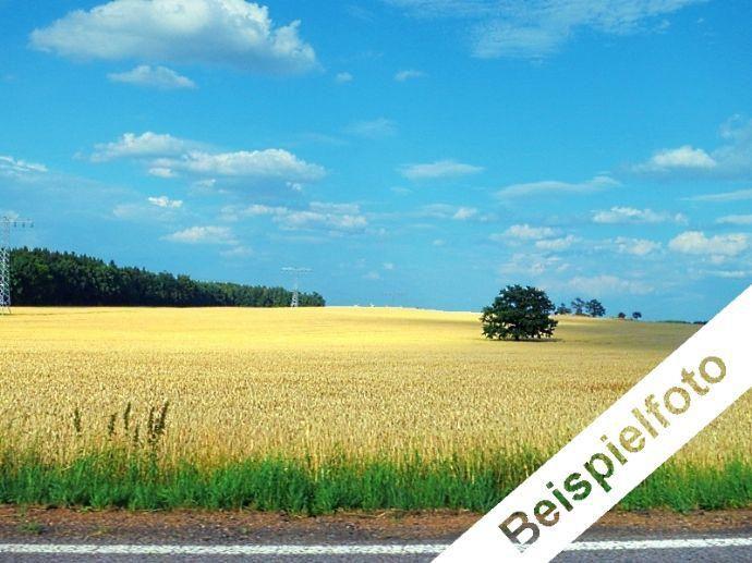 Verpachtete Landwirtschaftsflächen bei Wernigerode Kreisfreie Stadt Darmstadt