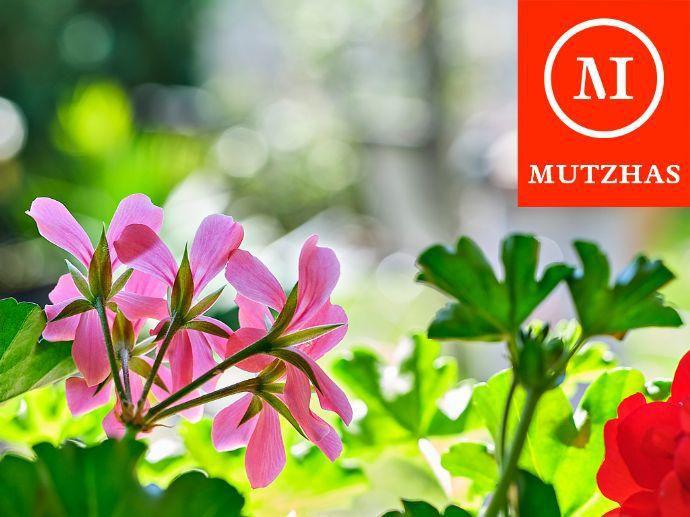 MUTZHAS - Charmantes Reihenhaus mit schönen Garten im Norden von München! Kirchheim bei München