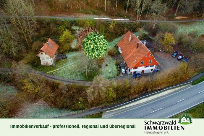 Ehem. Bauernhof mit Ferienhaus und 2 Bauplätzen in 77761 Schiltach Kreisfreie Stadt Darmstadt