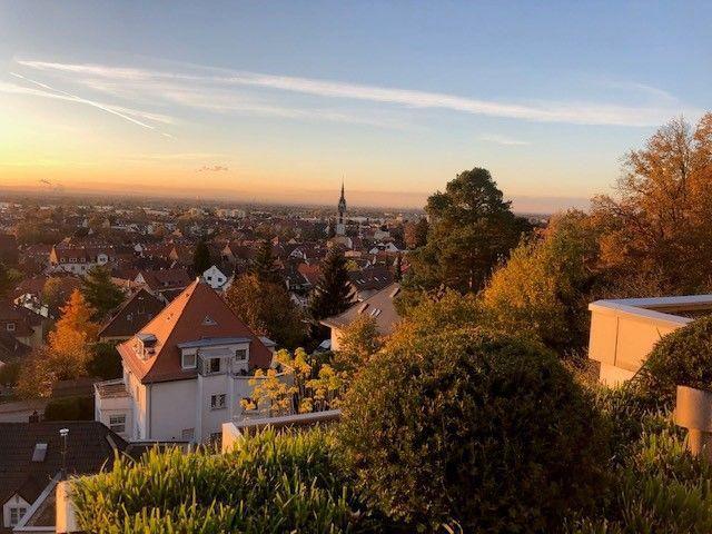 Heidelberg-Handschuhsheim - Penthouse mit atemberaubenden Fernblick und eigenem Garten Heidelberg
