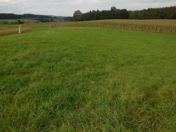 1,5 Hektar Wiesenfläche zur landwirtschaftlichen Nutzung und als Geldanlage !!! Kreisfreie Stadt Darmstadt