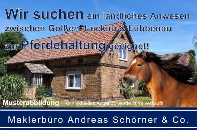 Wir suchen eine Immobilie für die Pferdehaltung! Kreisfreie Stadt Darmstadt