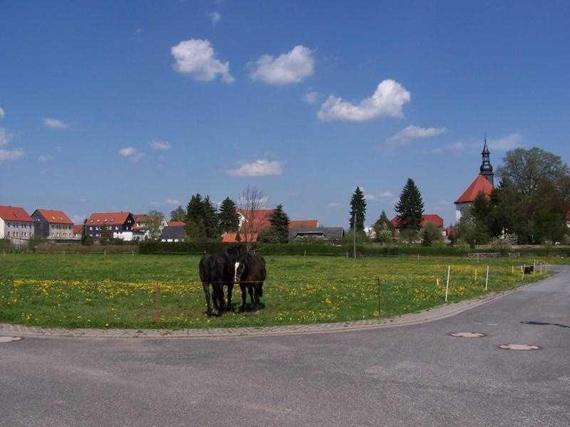 Hinter dem Kloster - Aktuell noch 2 Baugrundstücke im Erbbaurecht zu vergeben ! Großenlupnitz