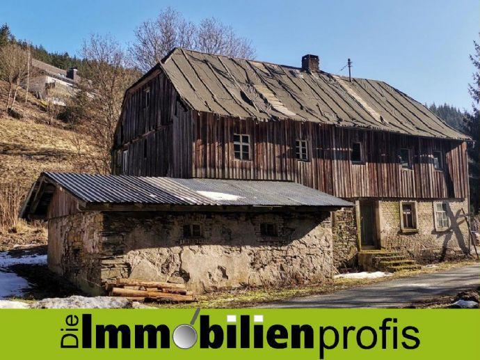 1481 - Ehemalige Mühle mit 21.000 m² Grund und Wald in Nordhalben Bergen auf Rügen
