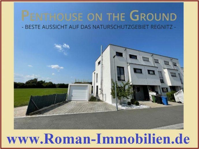Penthouse on the Ground - beste Aussicht auf das Naturschutzgebiet Regnitz! Fürth