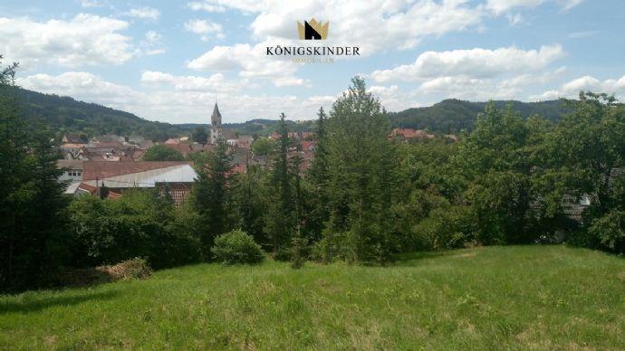 Sulzbach Murr: Top Grundstück für EFH oder DHH in Südhang-Aussichtslage mit guter Infrastruktur Amberg-Sulzbach