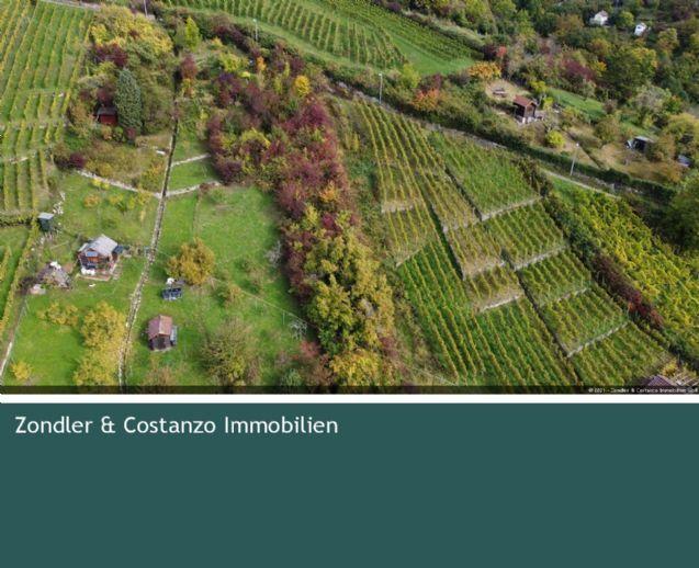 S-ROHRACKER: Großes, verwildertes Gartengrundstück mit viel Potential ~ 815qm ~ tolle Aussicht Stuttgart-Mitte
