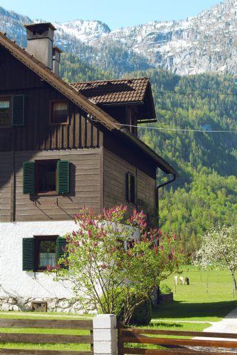 Mehrfamilienhaus mit Garage in Schwangau Bergen auf Rügen