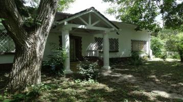 Immohome.net - RESERVIERT - herrschaftliche Villa am Park mit Potenzial
