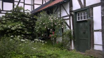 Haus mit Scheune, Garage Wald und Wiese