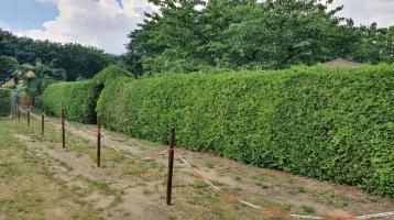 Garten ca. 360qm,Gartensparte an der Rennbahn Weißwasser