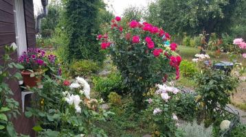 Gepflegter, schöner Garten 460qm in Mölkau