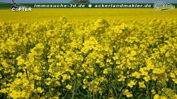 beste Ackerflächen in Bülow bei Schorssow, Landkreis Rostock, Erbanteilsverkauf 50%