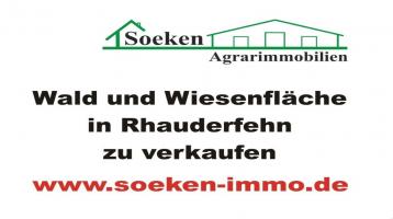 Wald und Wiesenfläche in Rhauderfehn- Collinghorst zu verkaufen **KB2001**