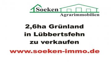2,6ha Grünland in Lübbertsfehn zu verkaufen KT1907