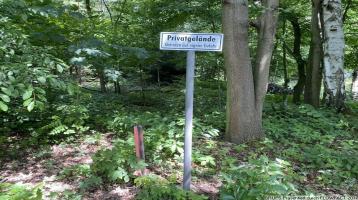Schönes Waldgrundstück in Krauschwitz zu Verkaufen