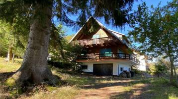 Romatisches Haus/Ferienhaus mit Seeblick in Bärental/Schwarzwald