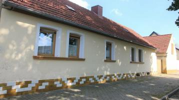 kleiner Bauernhof in Nienburg OT Wispitz EFH mit Scheune Garten