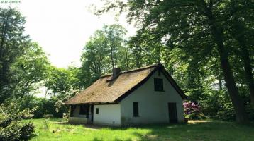 Rarität: Idyllisches Reetdachhaus auf großem Naturgrundstück in Hamfelde