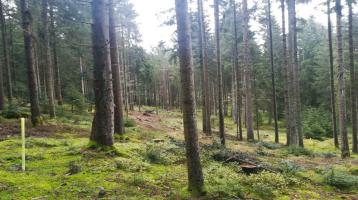 Verkaufe Wald Waldgrundstück in 94259 Kirchberg i. W. m2 3,50€