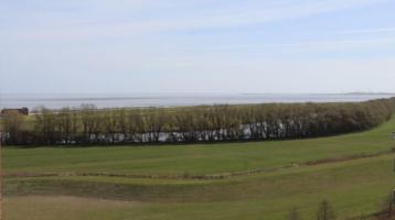 IMNO // Oben über Friesland - Herrliche Aussicht über Wiesen, Watt und Meer