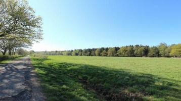 Ideal für Landwirte und Pferdehalter: Ca. 2,3 ha Wiesengrundstück in Roetgen, beste Lage Schwerzfeld