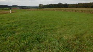 1,5 Hektar Wiesenfläche zur landwirtschaftlichen Nutzung und als Geldanlage !!!