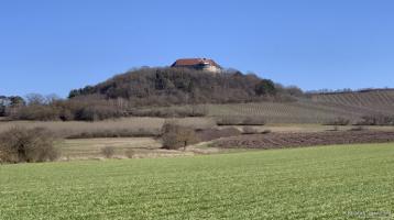 Topmodernes Reihenendhaus mit großem Grundstück und unverbaubarem Blick zur Burg Hoheneck (RH1C) *** PROVISIONSFREI***